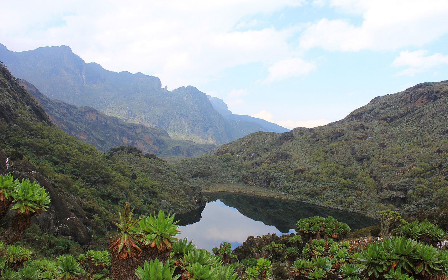 Rwenzori Mountains Filming From the Democratic Republic of Congo