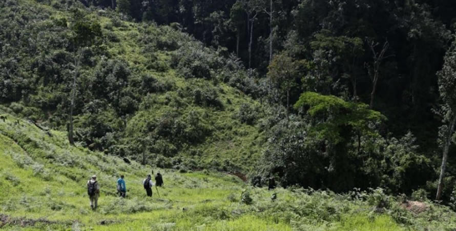 Activities to do in Virunga national park